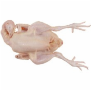 三黄鸡食品安全检测  畜禽肉检测 